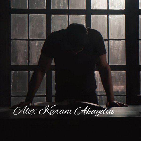 Hayaliyazar22 / Tesadüf Eseri (Savcı) / 9. Bölüm : Baskın