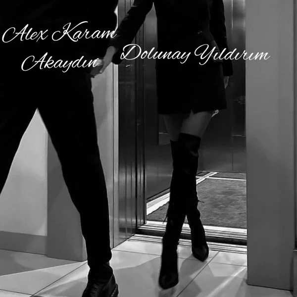 Hayaliyazar22 / Tesadüf Eseri (Savcı) / 11. Bölüm : Kardeş