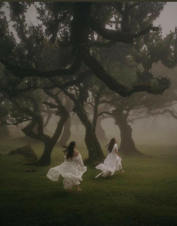 Rüveyda / Sessiz notalar... / Ya uçarsan?