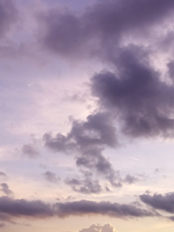 Marry 💅🏻(elom) / İşaretliler / 2. Nereye düştüm ben