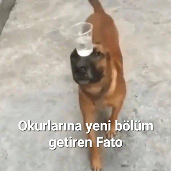 Fato / BÜCÜR / 31. Bölüm