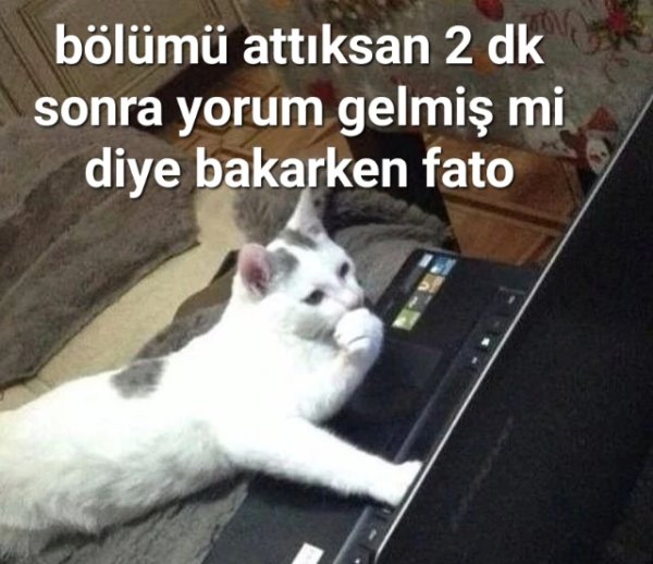 Fato / BÜCÜR / 37. Bölüm