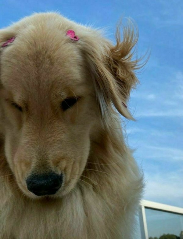 selenay demir / Eskiden Yaz / Yalancı İyilikler