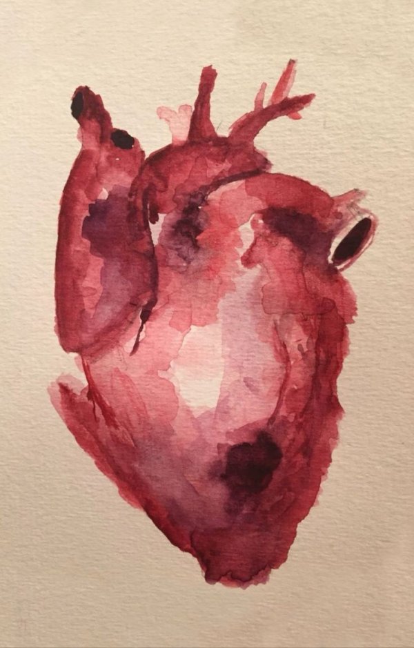 Anastasia 🎀 / İki Farklı Hayat / 1. Bölüm