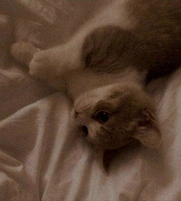 Love^ / Abimin arkadaşı...
(Düzenlemede) / 9-