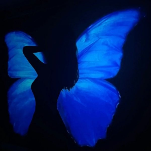 ~Mariposa negra🪷 / Mavi Kelebek / 🦋