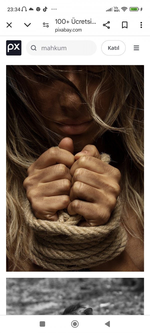 Nurullah Umut / ŞİİR İÇERDE. / BİR ŞAFAK BEKLEDİ GÖZLERİM