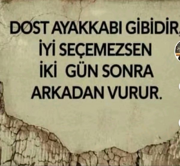 Nurullah Umut / ŞİİR İÇERDE. / ÜÇ BEŞ ADIM