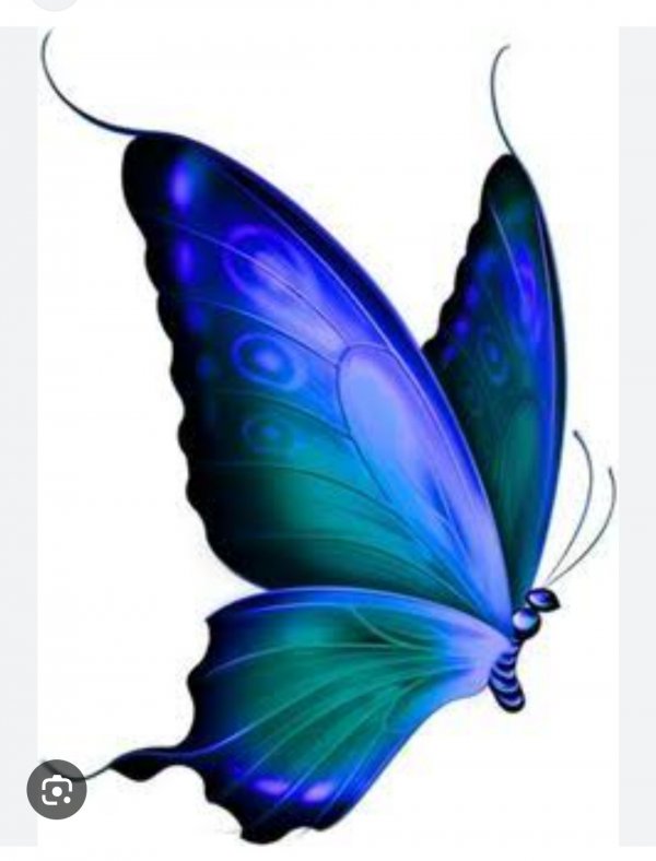 Nurullah Umut / ŞİİR İÇERDE. / 🦋Kelebek🦋