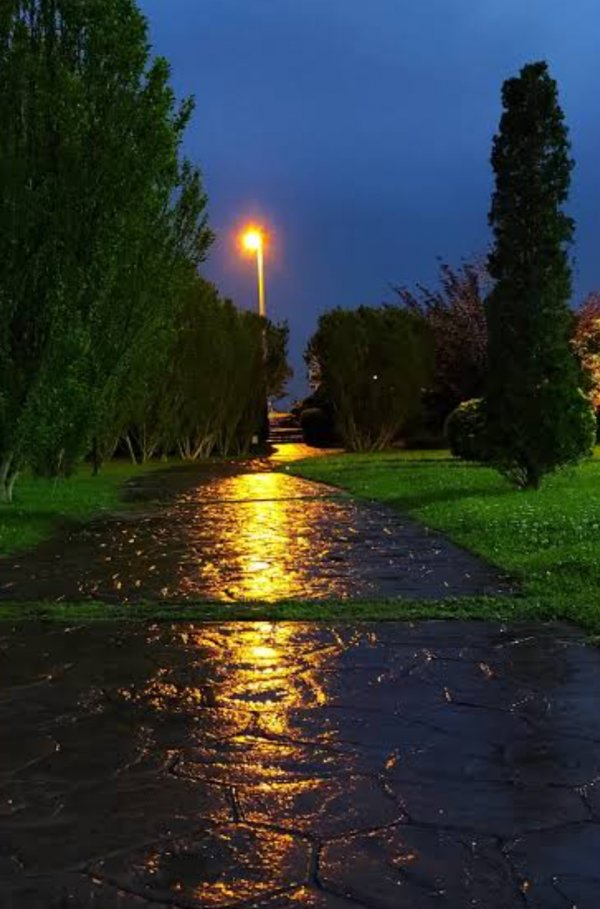 Nurullah Umut / ŞİİR İÇERDE. / NASIL ŞEYDİ YAŞAMAK?
