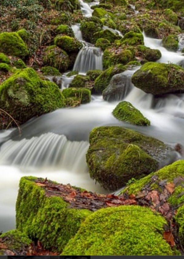 Nurullah Umut / ŞİİR İÇERDE. / HAYATA DAİR. (DOĞUM SANCISI)