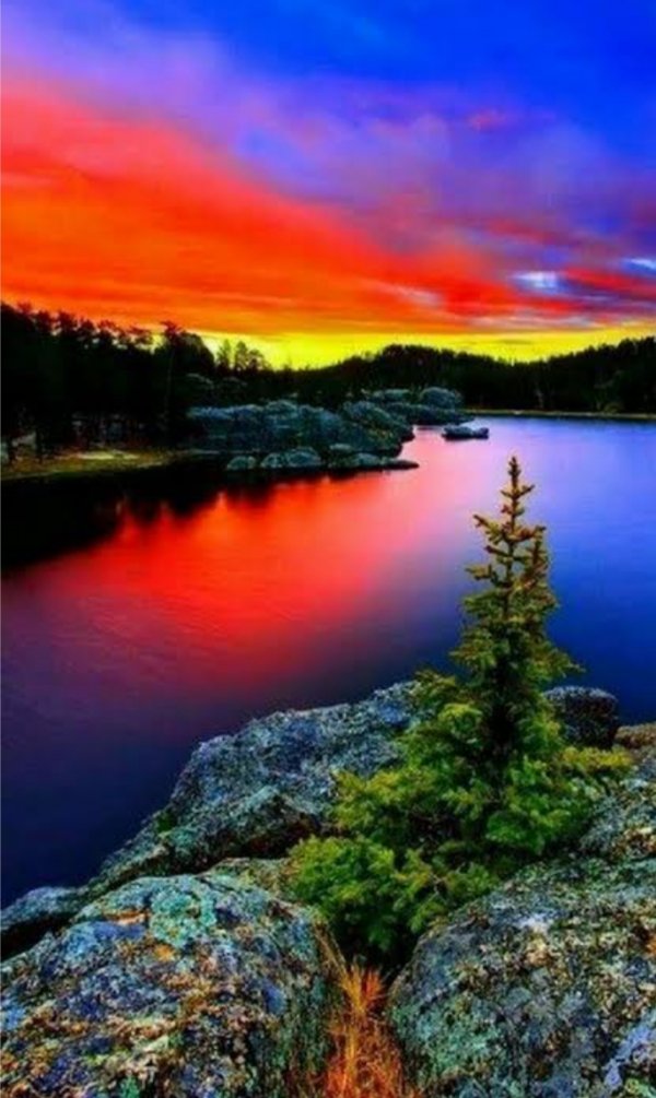 Nurullah Umut / ŞİİR İÇERDE. / UZAKLAR