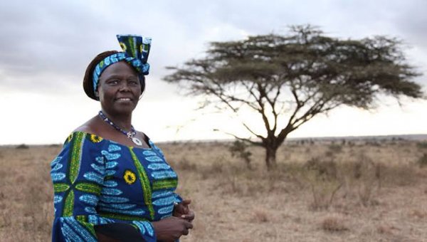 Yusuf Yılmaz / Güneş / 5. Bölüm: Bilimin Işığında