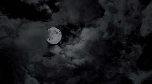 Lavesta / İNTİKAM ATEŞİ / 2. İHANETİN BEDELİ