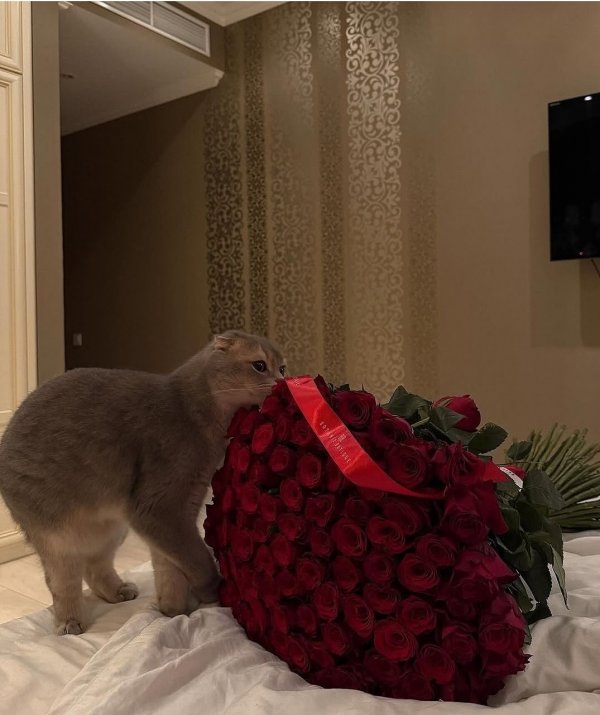 Hatice Ebrar / Mülhemdeki Gölge / 25