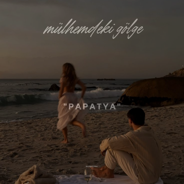 Hatice Ebrar / Mülhemdeki Gölge / 26