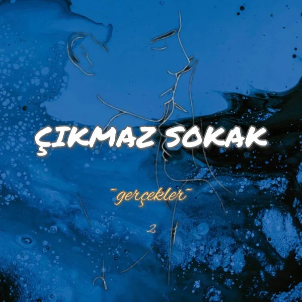 İzzetcan Duman / ÇIKMAZ SOKAK / 34.BÖLÜM: BİR DEMET PAPATYA