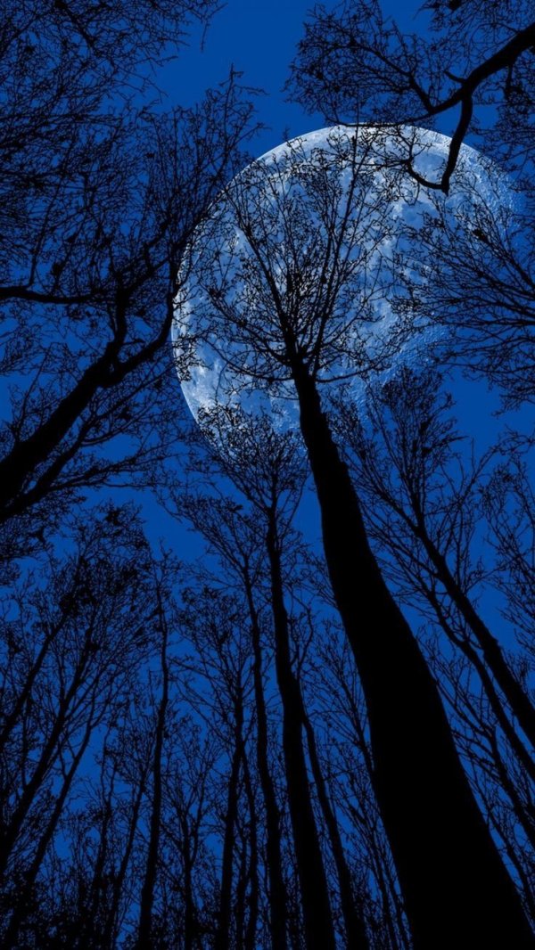 İlyada / Rüya Ruhu / Birinci bölüm