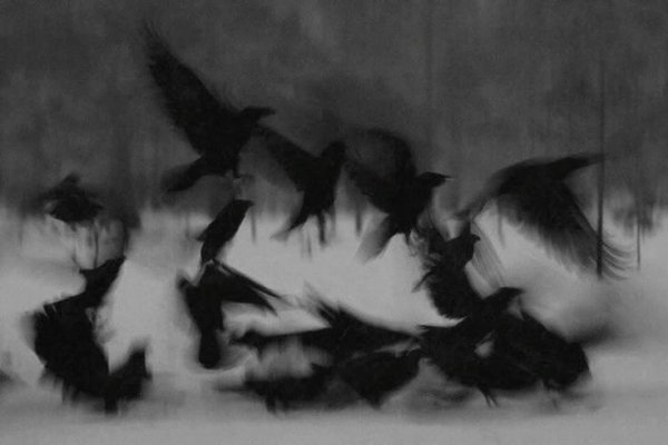 Gizem / MASKE / Bölüm 3 : Şirket Sırları