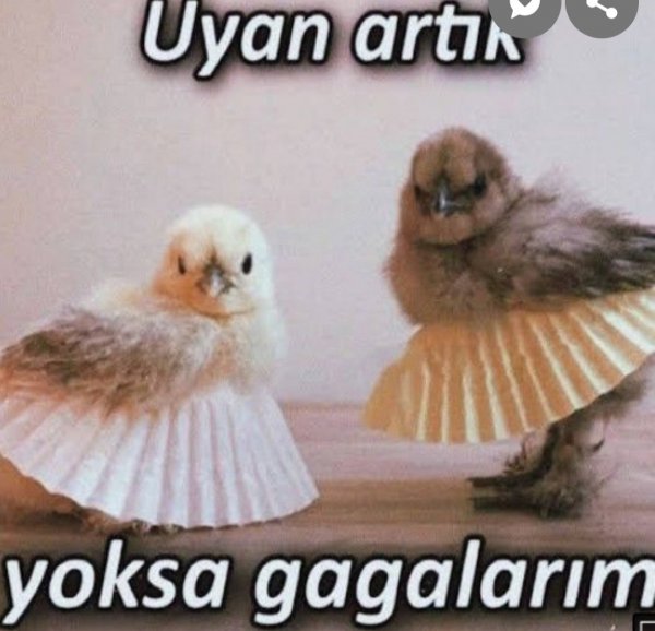 Gözde ERDEM / KÖR İNSANLAR / 5. Bölüm