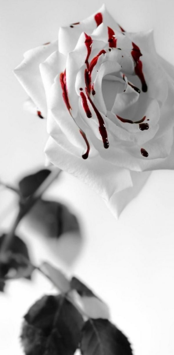 Daisy_x06 / Geçmişin zinciri / 26. Bölüm